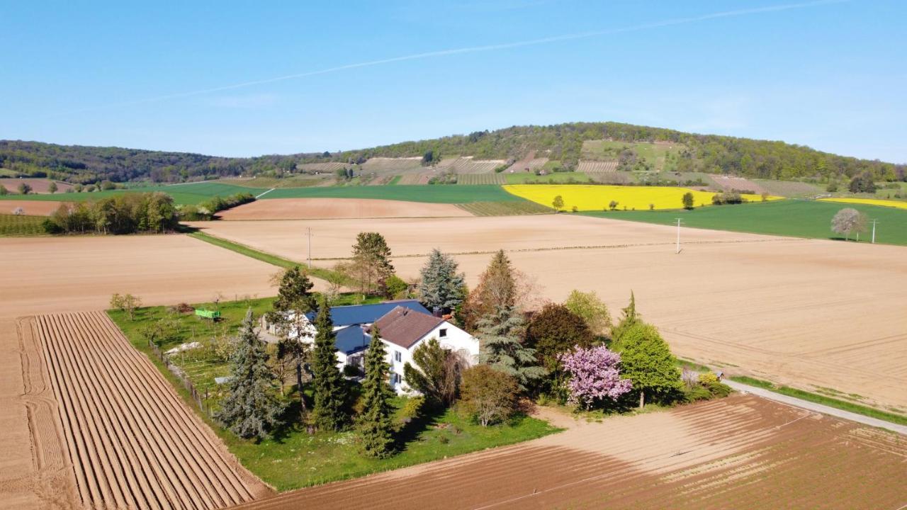 Ferienwohnungen Rosenhof Karlstadt Luaran gambar